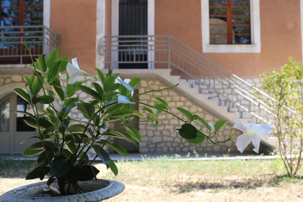 Apartamento La Provencale Uzès Exterior foto